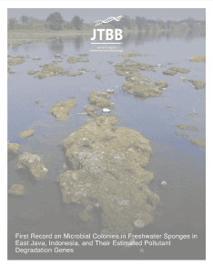 @jtbb.ugm post 1