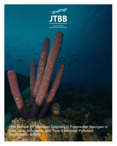 @jtbb.ugm post 3